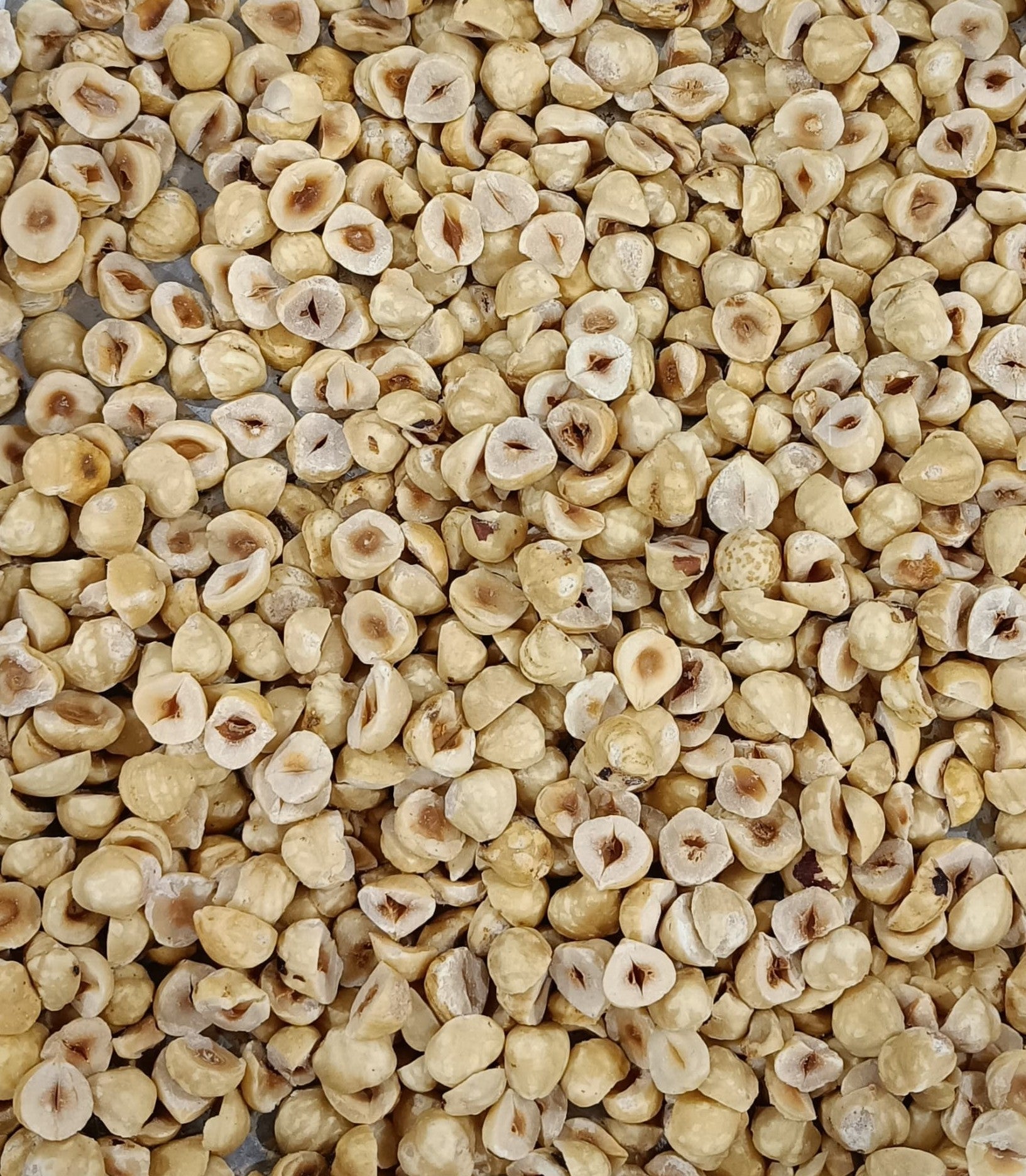 Hazelnut | | 62% Cocoa | Sweetened with Jaggery image 3