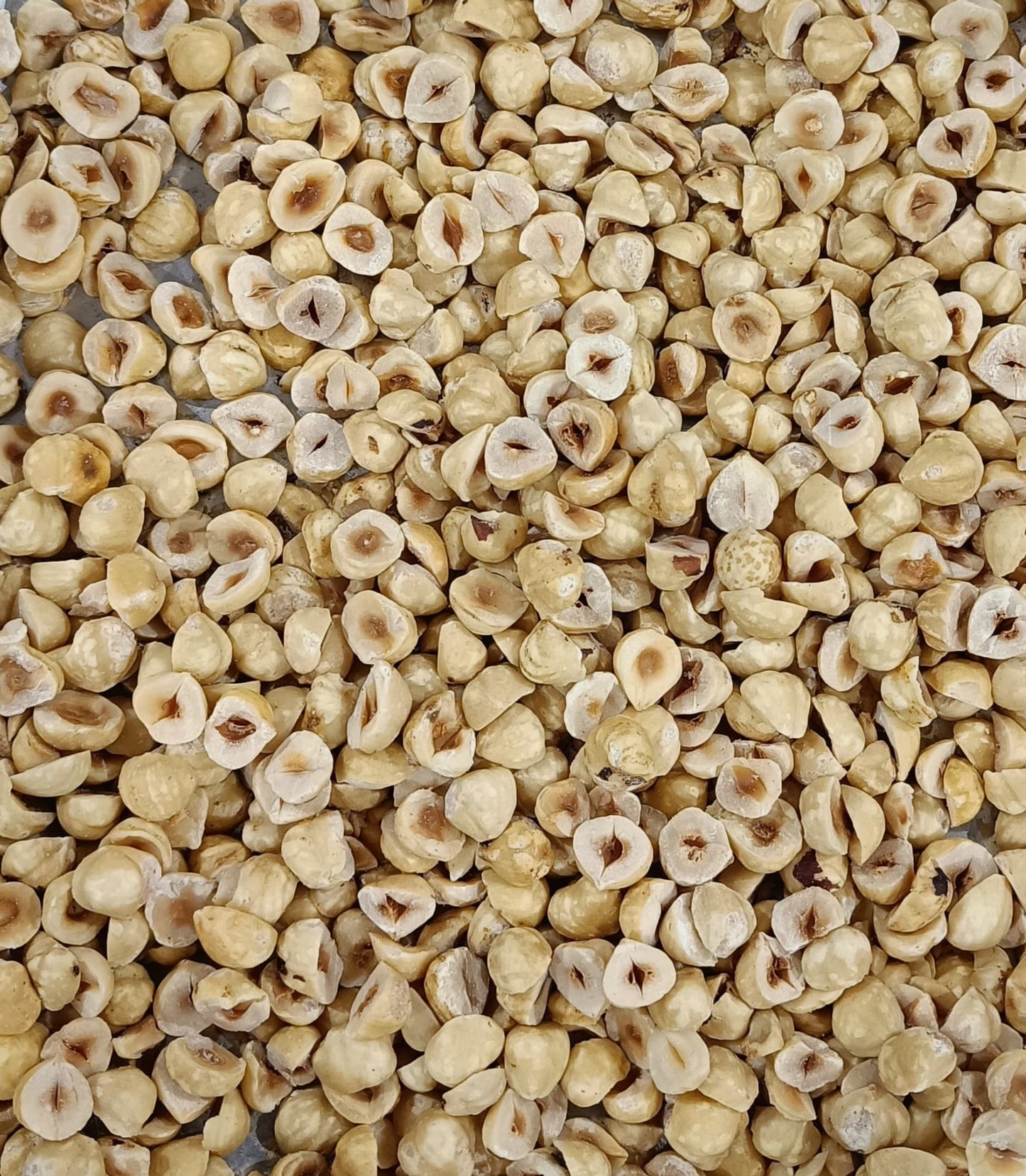 Hazelnut | | 62% Cocoa | Sweetened with Jaggery